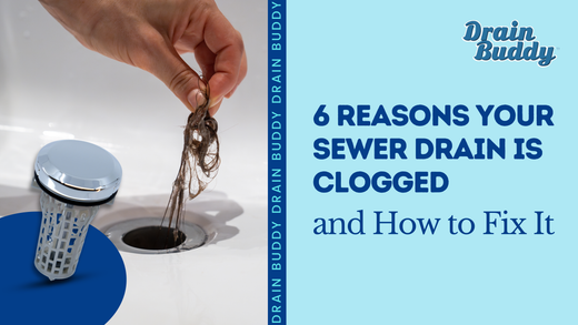 6 Reasons Your Sewer Drain Is Clogged and How to Fix It